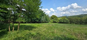 Teren, Albești, str Podului - imagine 2