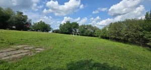 Teren, Albești, str Podului - imagine 5