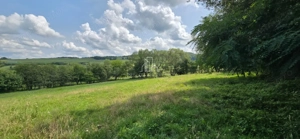 Teren, Albești, str Podului - imagine 3