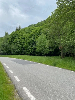 Teren intravilan de vănzare Zărnești   Plaiul Foii peisaj deosebit