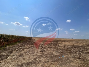 Teren intravilan 5087 mp de vânzare – Pielești - imagine 5