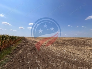Teren intravilan 5087 mp de vânzare – Pielești - imagine 3