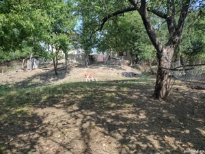 casa de vânzare urgent  - imagine 8