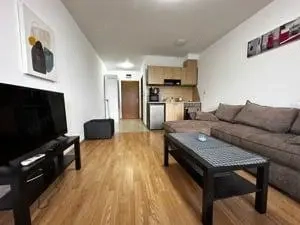 Apartament cu 1 camera in zona Bd. Liviu Rebreanu - imagine 3