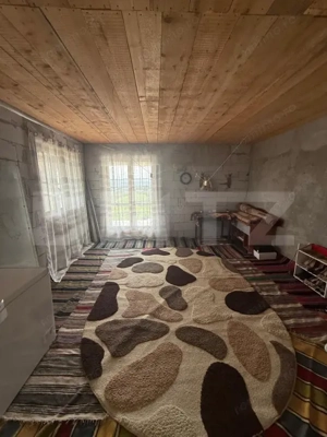 Casa/Vila 450 mp utili, 8000 mp teren + casa in constructie, Plopeni, SV - imagine 20