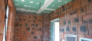 Casa Viile Satu Mare  P+M  - imagine 3 Casa Viile Satu Mare  P+M  - imagine 3