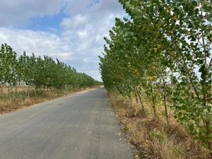 Policolor - Gura Solcii, teren 7500 mp- dubla deschidere - imagine 9