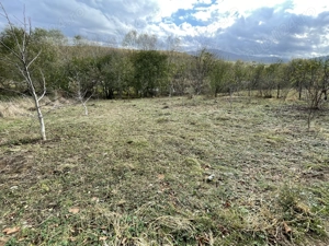 Vand teren extravilan