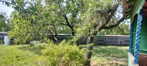 Casa batraneasca Dobrovat  - imagine 10