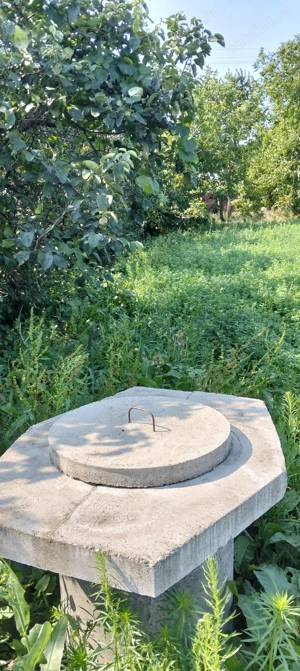 Casa batraneasca Dobrovat  - imagine 7