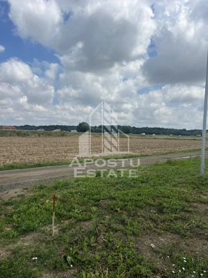 Teren Ghiroda cartier Bistra - toate utilitatile - imagine 3