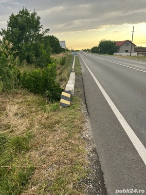 teren Pielesti, Dolj