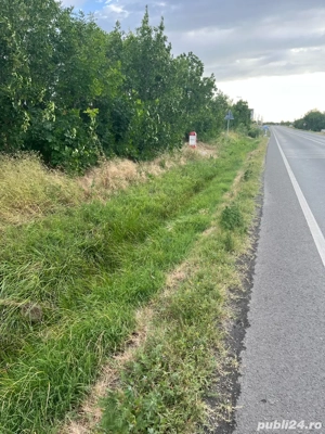 teren Pielesti, Dolj - imagine 5