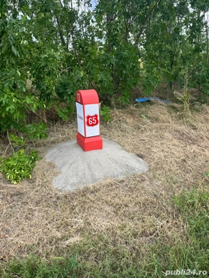 teren Pielesti, Dolj - imagine 6