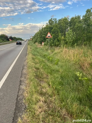teren Pielesti, Dolj - imagine 4