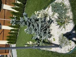 Casa de Vacanta in Mălini Bucovina - imagine 5 Casa de Vacanta in Mălini Bucovina - imagine 5