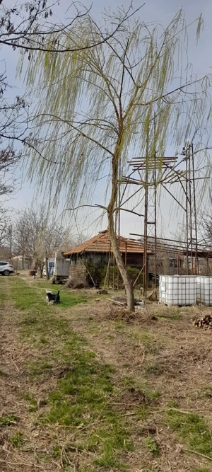Vând livadă pe rod, teren împrejmuit - imagine 10