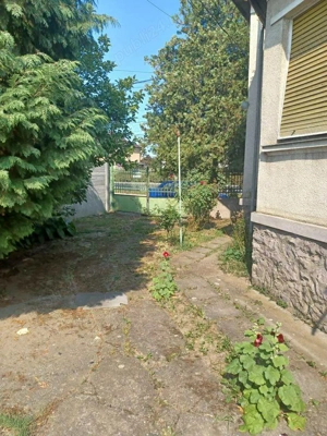 Casa de vanzare cu 3 camere , pe un nivel , pe Strada Botizului , 73.000 euro negocibil - imagine 9