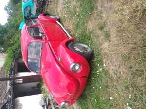 Vand Volkswagen Kafer - imagine 2