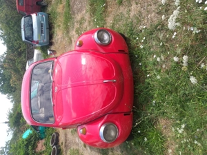 Vand Volkswagen Kafer