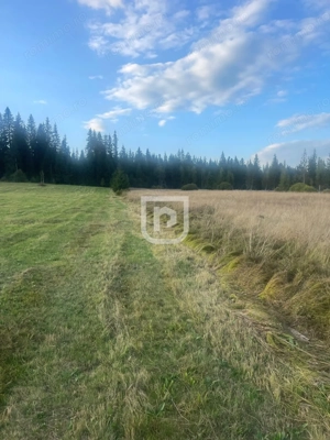 Teren intravilan  – Poiana Stampei 