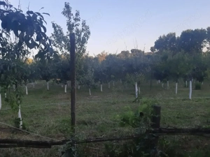 Vând casă    - imagine 6 Vând casă    - imagine 6