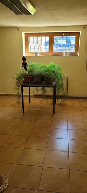 Inchiriere spatiu birou