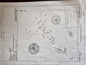 Casă 3 camere, Calea domnească,  Târgoviște  - imagine 3