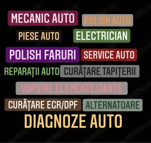 Electrician auto diagnoza deplasare pe teren
