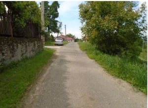 Cota de 3/32 din 3 constructii si teren-loc. Certeju de Sus, jud. Hunedoara - imagine 3