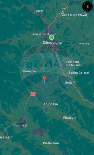 Teren extravilan ieftin 13,500 mp Berevoesti, Arges