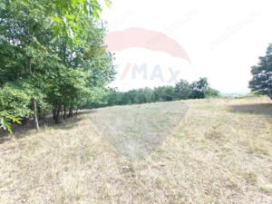 Teren intravilan - imagine 2