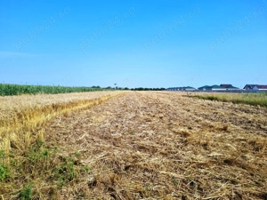 Vanzare Teren Rezidential 5000MP Magurele