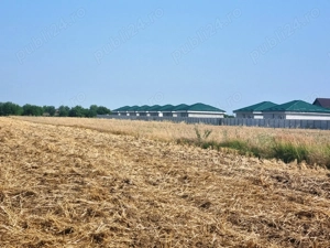 Vanzare Teren Rezidential 5000MP Magurele  - imagine 3