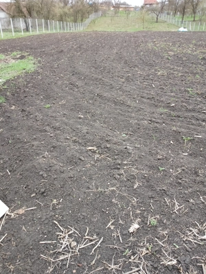 Vând teren construibil, grădină, agricol, livada, central, totul intabulat 3.000mp - imagine 7