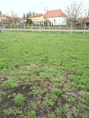 Vând teren construibil, grădină, agricol, livada, central, totul intabulat 3.000mp - imagine 3