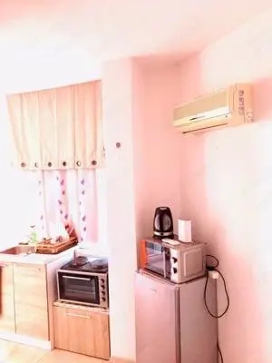 Apartament cu 1 camera in zona Bogdanestilor - imagine 2