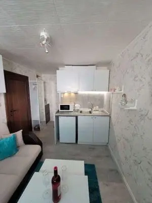 Apartament cu 1 camera in zona Take Ionescu - imagine 2 Apartament cu 1 camera in zona Take Ionescu - imagine 2