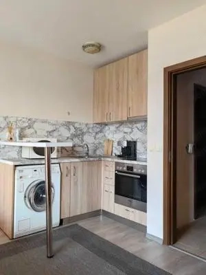 Apartament cu 1 camera in zona Iulius Mall - imagine 3