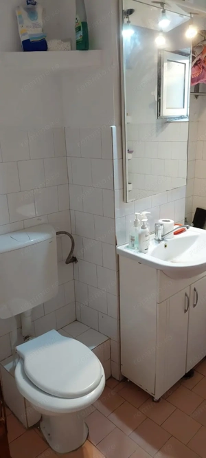 Proprietar vand ap. 3 camere, 2 bai, centrala termica, parter, Torontal-Parc Bucovina-Cetatii - imagine 6