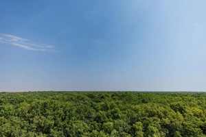 De vanzare apartament cu 2 camere - Denya Forest Timisoara - Comision 0% - imagine 14