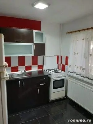 Apartament cu 1 camera in zona Cetatii - imagine 2