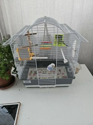 Vand colivie pentru pasari