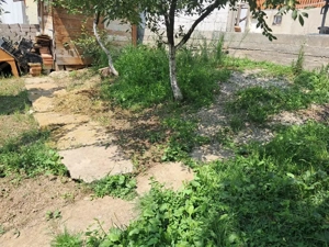 Casa singur in curte in Gusterita - imagine 10