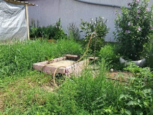 Casa singur in curte in Gusterita - imagine 11