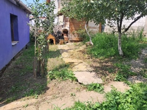 Casa singur in curte in Gusterita - imagine 7