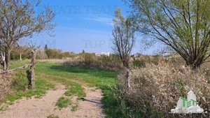 Teren 1171mp la intrare in Palanca langa Raul Sabar - imagine 7