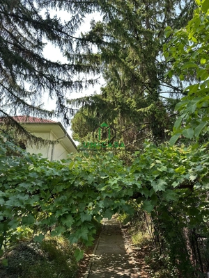 Casa si teren  - Zona Ultracentrala - imagine 7