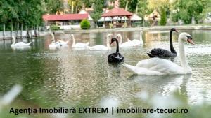 Pensiune, restaurant, bar, iaz, păstrăvărie, la GHIDIGENI, Galaţi - imagine 12