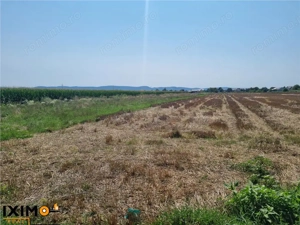 Teren Calea Barladului